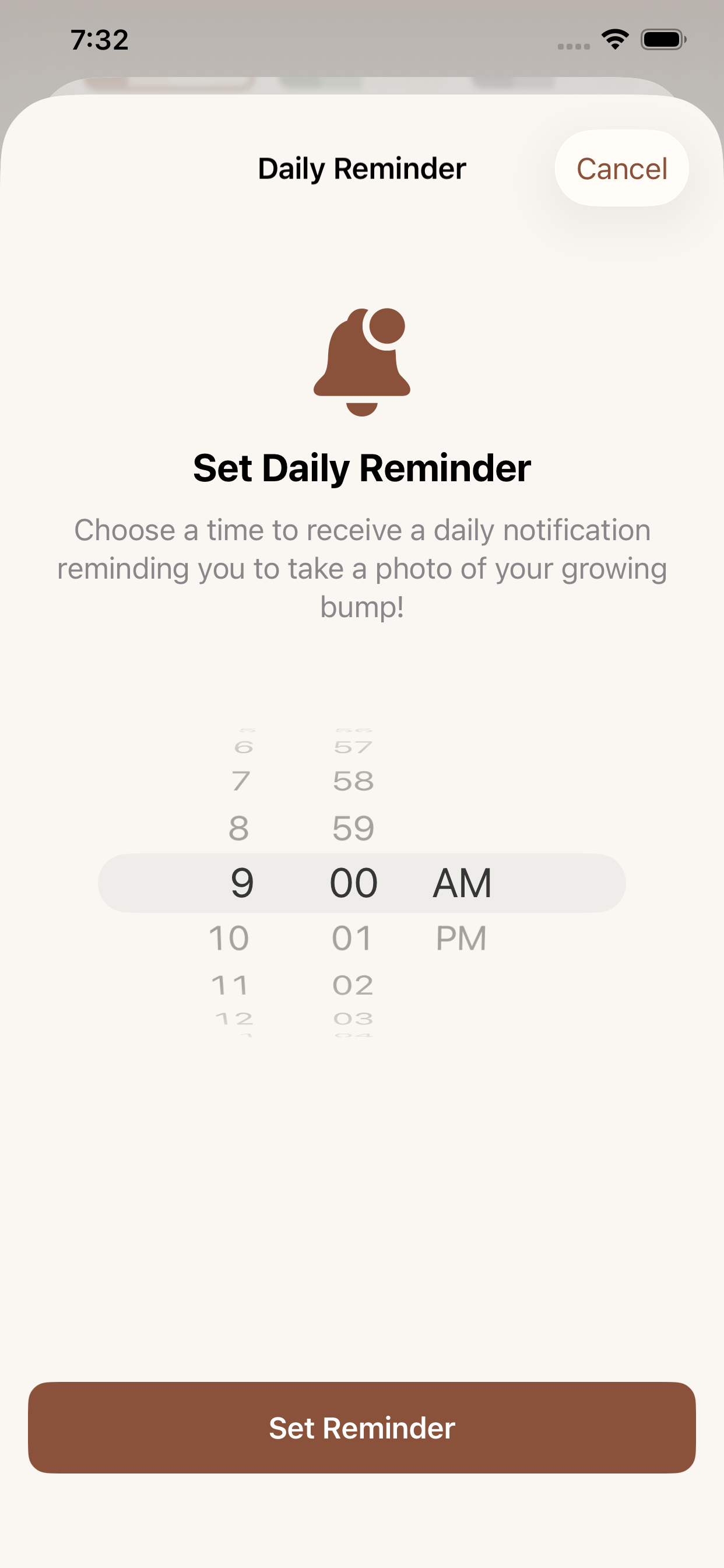 BumpLapse daily reminders